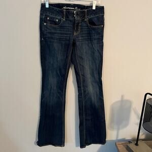 American Eagle Outfitters The Artist Flared Leg Jeans Womens Size 6 Discontinued